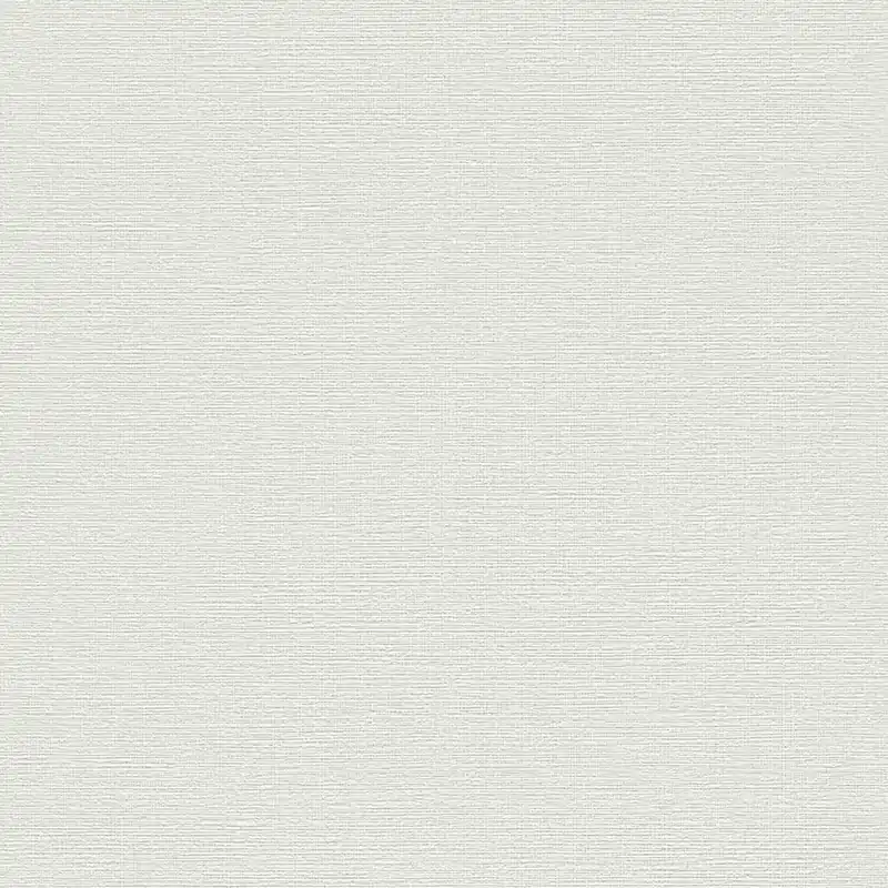 Rasch Unsere Besten 2022 | 732351 | papier peint intissé uni | 0.53 m x 10.05 m | gris