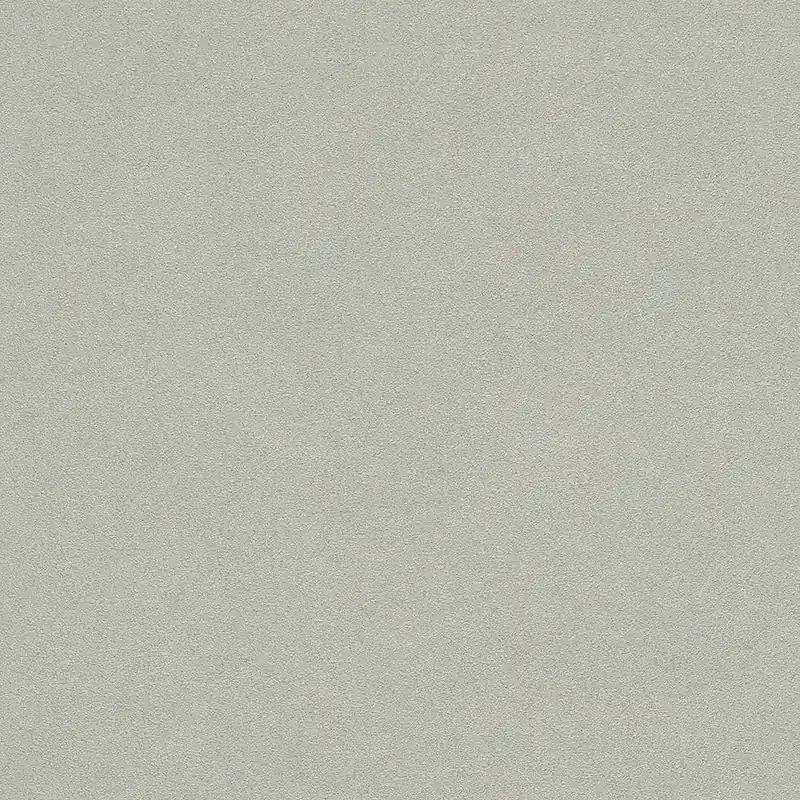 Rasch Wall Textures 2020 Vol. IV | 479409 | papier peint intissé uni | 0.53 m x 10.05 m | beige