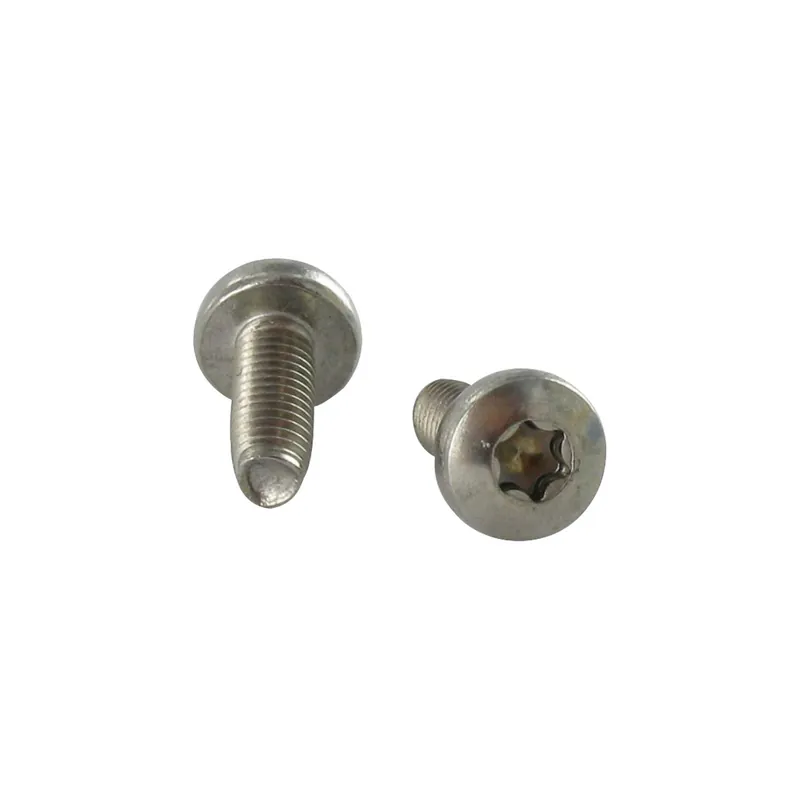 1 x Vis autotaraudeuse Tête cylindrique bombée TCB TORX T10 3X6 Inox A2 microvis
