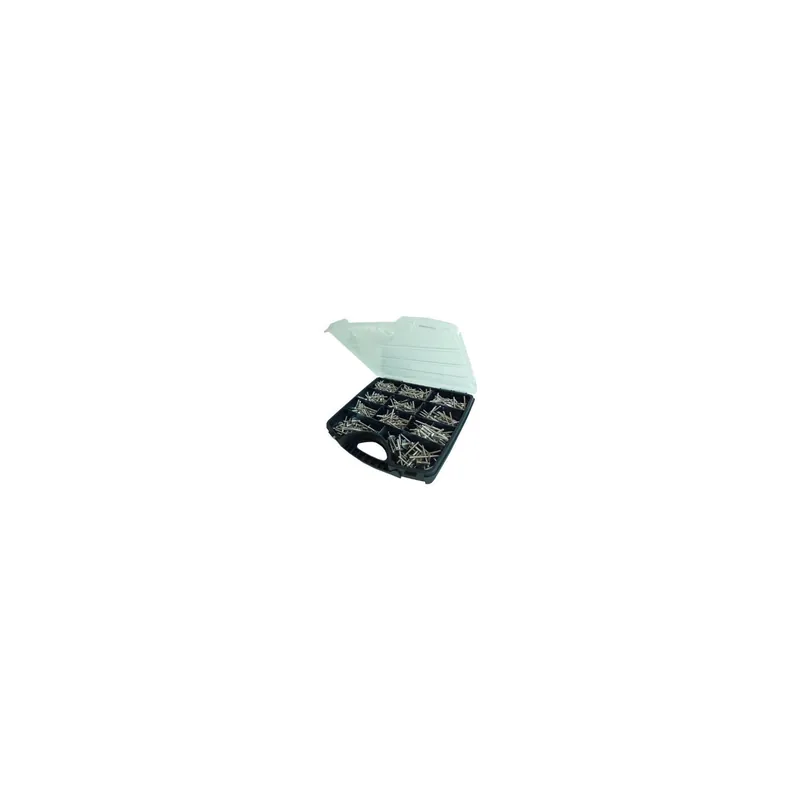 1 x Assortiment de 500 Rivet GORIVET Inox A2 DEGOMETAL