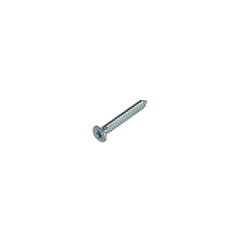 1 x Vis tôle Tête fraisée TORX T10 3.5X13 Acier zingué