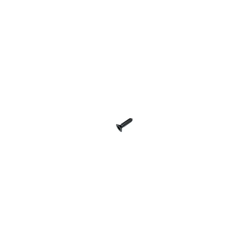1 x Vis tôle Tête fraisée TORX T20 4.2X13 Acier zingué noir