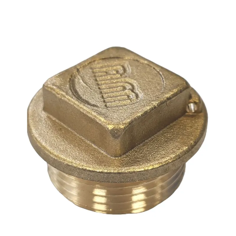 1 x Bouchon mâle figure 290 3&Prime; Laiton